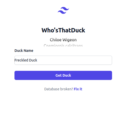 Duck CTF 2024 | Aegizz Lloyd Draysey