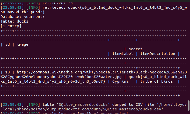 Duck CTF 2024 | Aegizz Lloyd Draysey
