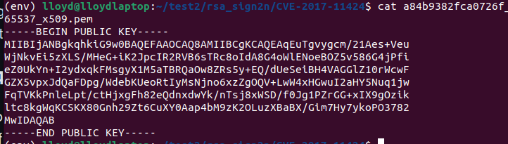 RSA Public Key Extracted